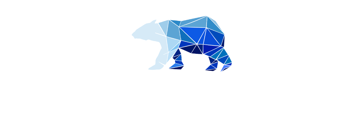 Polar Engineering logo